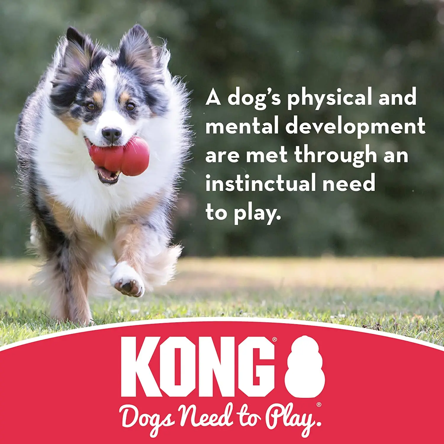 KONG Tug Toy For Dog