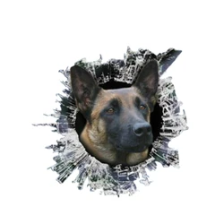 3D Belgian malinois Decal Glas Dogs Slag Reflective Car Stickers Window Waterproof Styling Decals,13cm*12.2cm