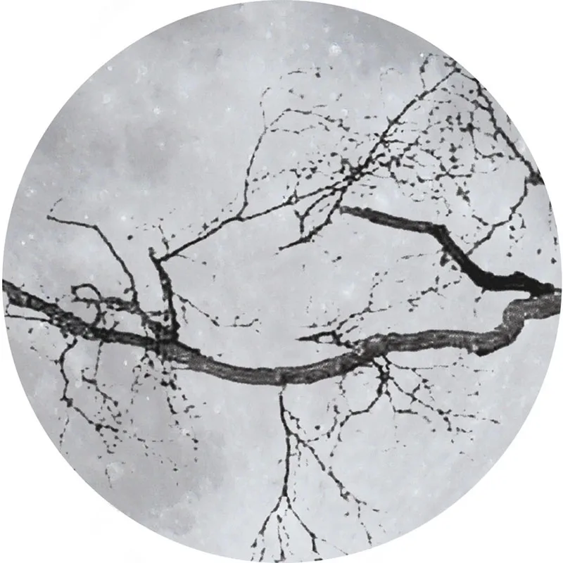 Custom Mural Wallpaper Personalized Modern 3D Branch Moon Tree Background Wall Painting Living Room Bedroom Home Decor Wallpaper