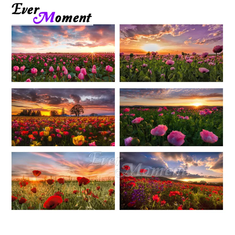 

Ever Moment Diamond Painting Picture Of Rhinestone Flower Colorful Sky Cloud Full Square Drill Diamond Embroidery ASF2057