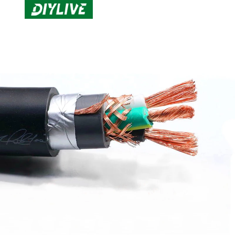 DIYLIVE HiFi audio pure copper fever power cord audio scatter power amplifier power supply cable