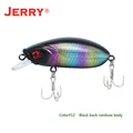 Black  rainbow body