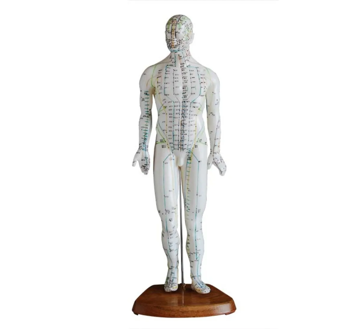 

Acupuncture Model 46CM Male, Chinese Human Acupuncture Model 46CM Male