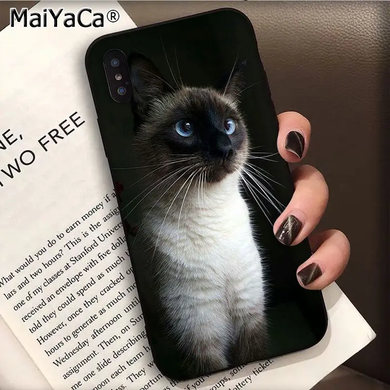 MaiYaCa pet siamese cat Fashion Phone Case for Apple iphone 11 pro 8 7 66S Plus X 5S SE XS XR XS MAX Cellphones