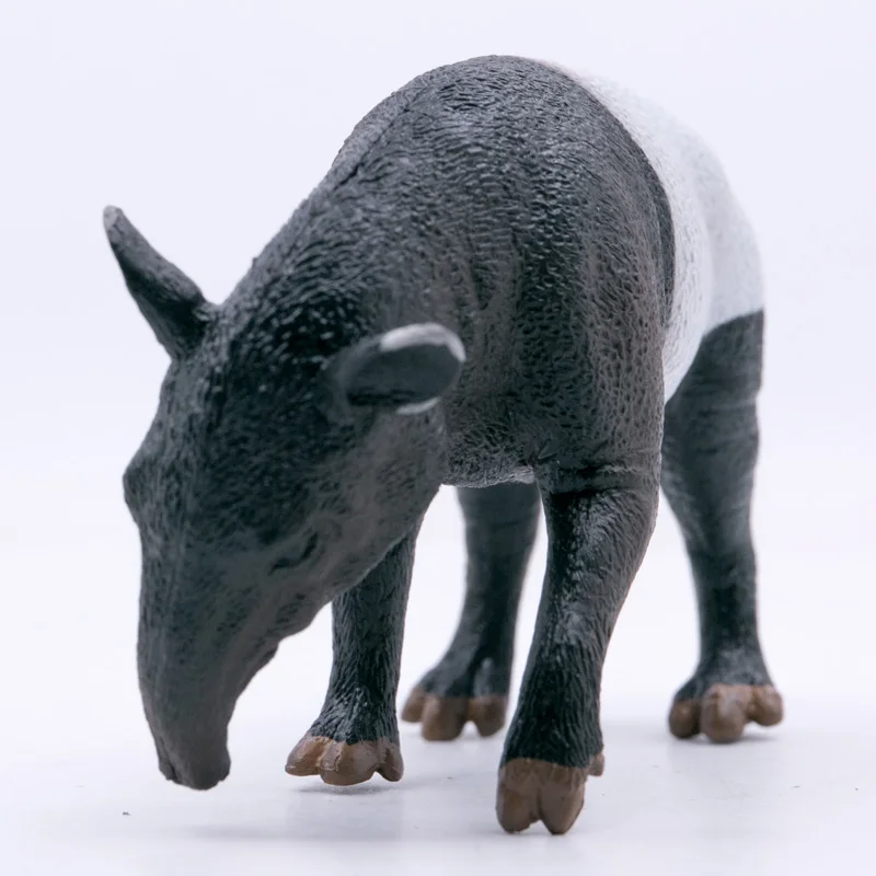 CollectA Wild Life Animals Malayan Tapir PVC Plastic Figure Children Toys Model #88881