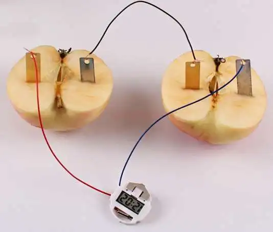 physical experiment equipment for Scientific Experiment Equipment Fruit Conductive Experiment Fruit Battery Technology Small