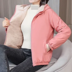 Abrigo corto acolchado grueso con capucha, Chaqueta de algodón personalizada, ropa de trabajo de algodón hecha a medida para mantener el calor, chaqueta acolchada de invierno