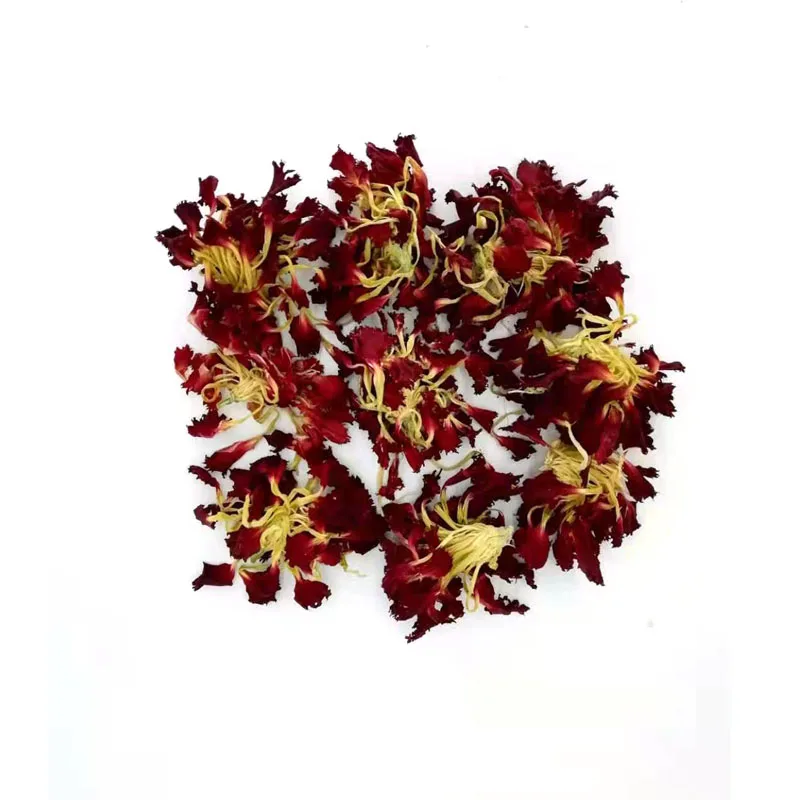 Dried Carnation Petals Natural Flowers Petals for Epoxy Resin Pendant Necklace Jewelry Making Craft DIY Accessories 10g/Bag