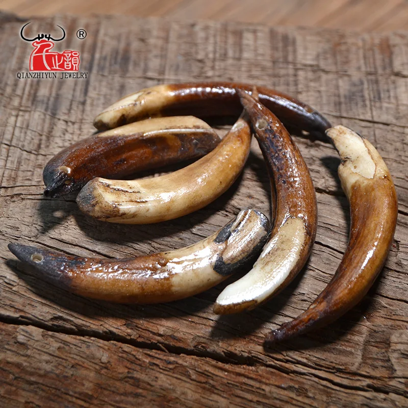 10pcs Bending Wild boar Teeth Natural Bone Beads Pendants For Diy Jewelry Making Primitive tribal ornaments Jewelry Accessories