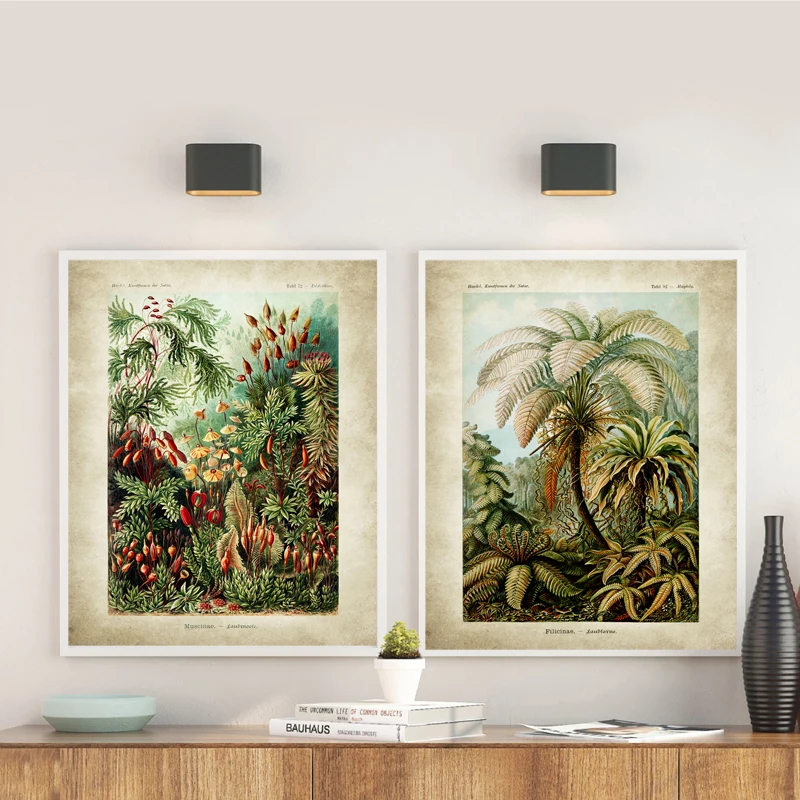 Vintage Ernst Haeckel Biology Poster Hummingbird Palm Tree Botanical Art Prints Plant Canvas Painting Office Home Wall Art Decor