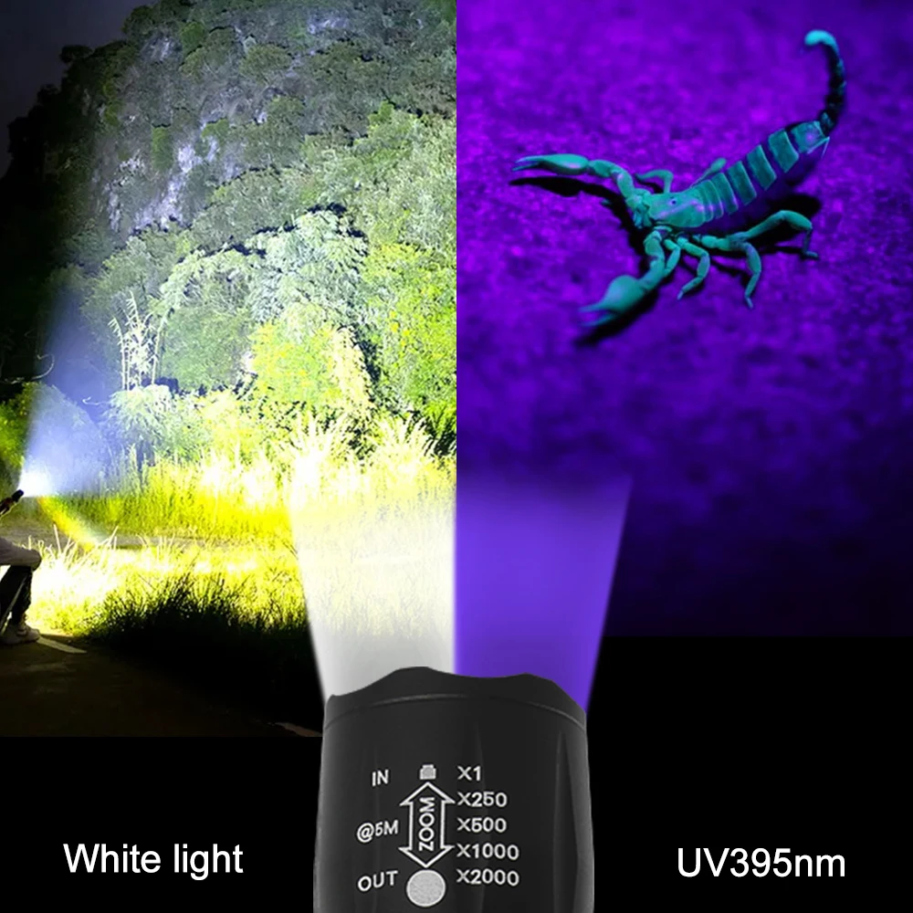 Zoomable UV Flashlight 2 In 1 White&UV 395nm Purple Torch Black Light Ultraviolet Urine Detector for Pet Urine Catch Scorpions