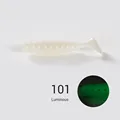 NW101