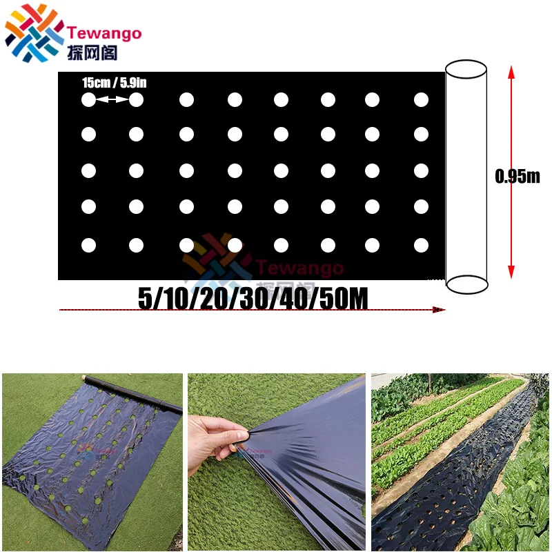 Tewango perforowana ściółka kontrola chwastów rolnictwo Film hodowla ściółka Veg Patch dla pomidora truskawka wzrost cios 4.5cm otwór