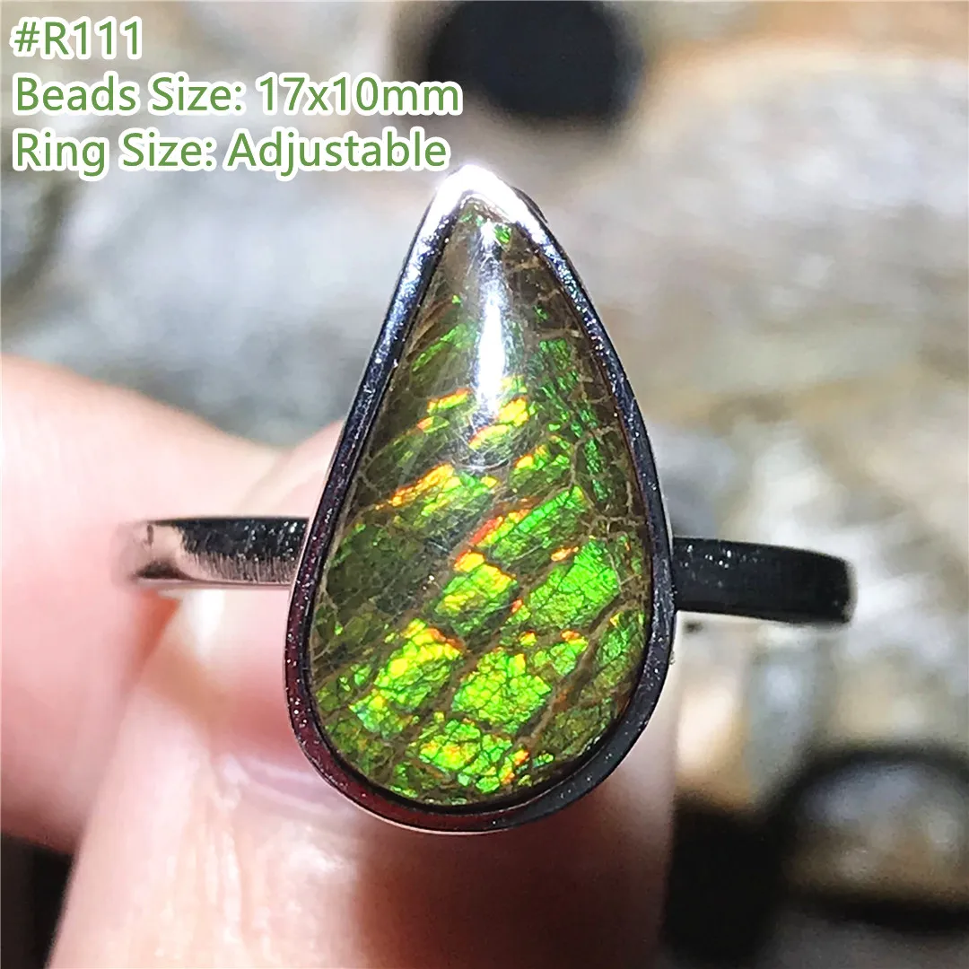 

Natural Ammonite Ammolite Ring Jewelry For Women Lady Men Reiki Gift Green Red Luck Crystal Beads Silver Adjustable Ring AAAAA