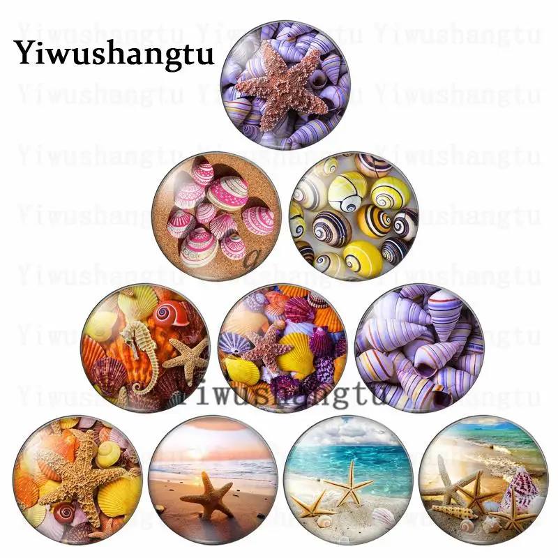 New Sea horses starfish seashells 10pcs mixed 12mm/20mm/25mm/30mm photo glass cabochon demo flat back Making findings