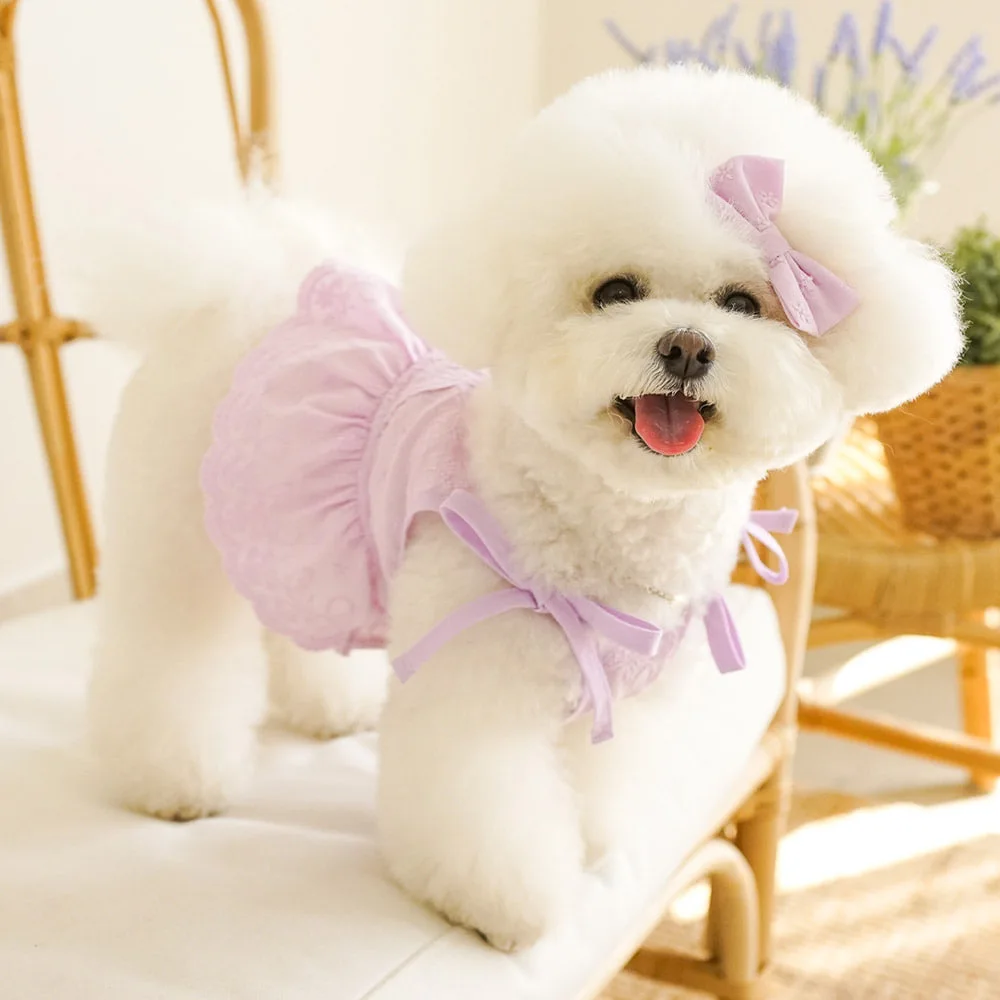 Spring and Summer New Lace Sling Bichon Teddy Dog Skirt Bow Short Breathable Pet Clothes Cat Dress Cat Cute Vest Skirt