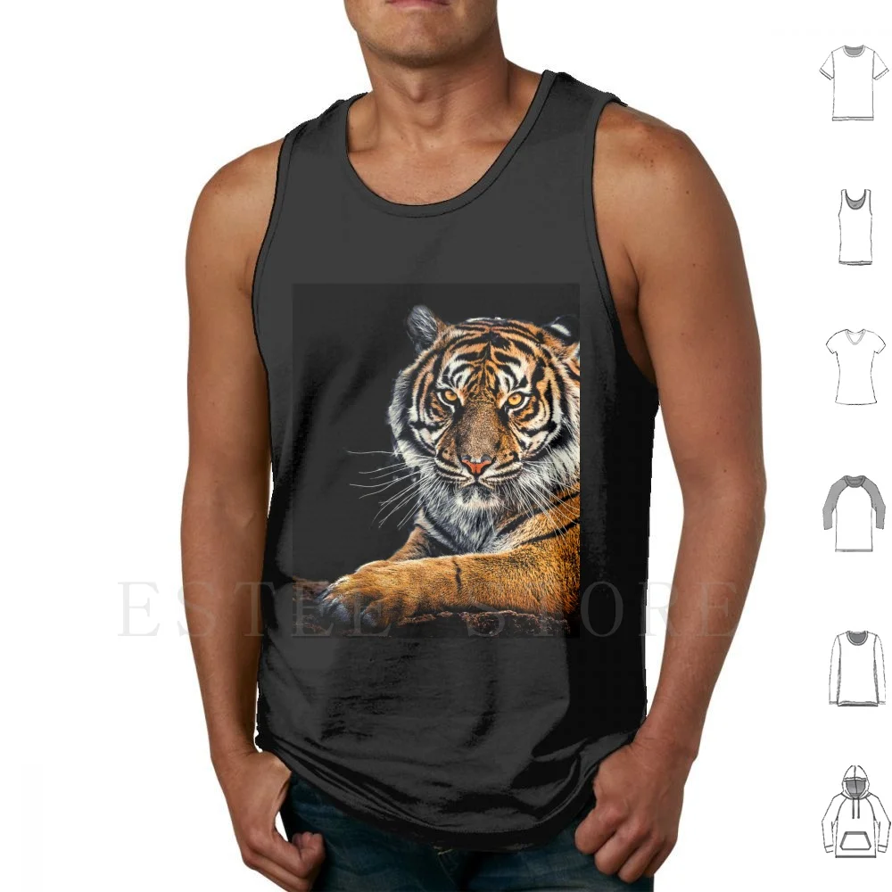 Beautiful Tiger Tank Tops Vest Sleeveless Tiger Tigers Bengal Tiger Siberian Tiger Beautiful Beautiful Tiger Tiger King Top