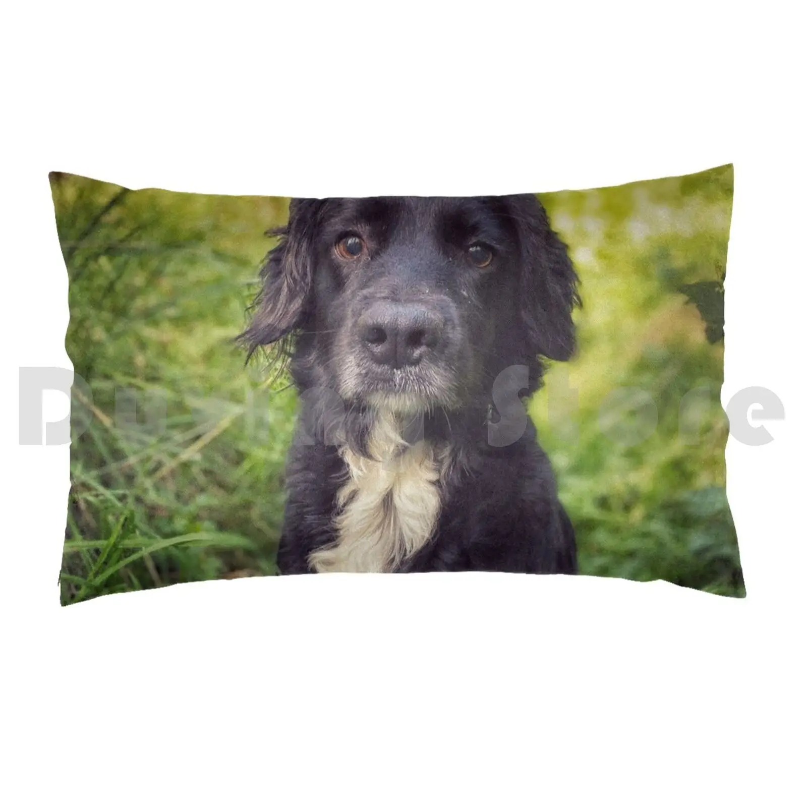 Black Spaniel In The GrassPillow case Black White Green Vintage Vignette Dog Hound Puppy Cute