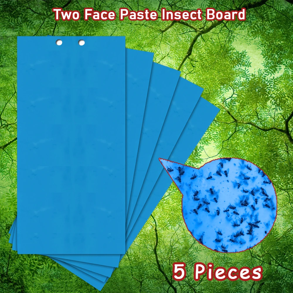 Adesivos adesivos dupla face, adesivos de 2 faces, para insetos e insetos, na cor azul, coletor de insetos, coletor voador, 5 peças