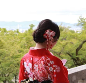 Hairpin Japanese kimono Yukata Headdress Crinkle Cloth Sakura Hair Clip DIY Cosplay Hanfu Tassel Tsumami zaiku Handmade Kanzashi
