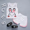 Rabbit White