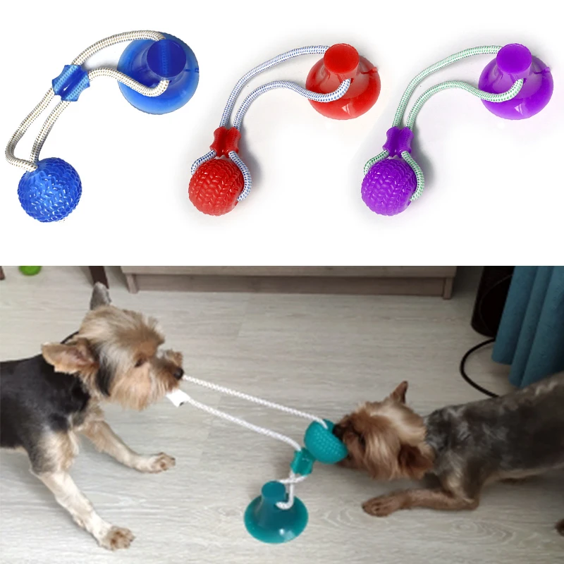 

Dog Toys Dog Interactive Suction Cup Push TPR Ball Toys Pet Molar Bite Toy Elastic Rope Dog Tooth Cleaning Chewing Drop Shopping