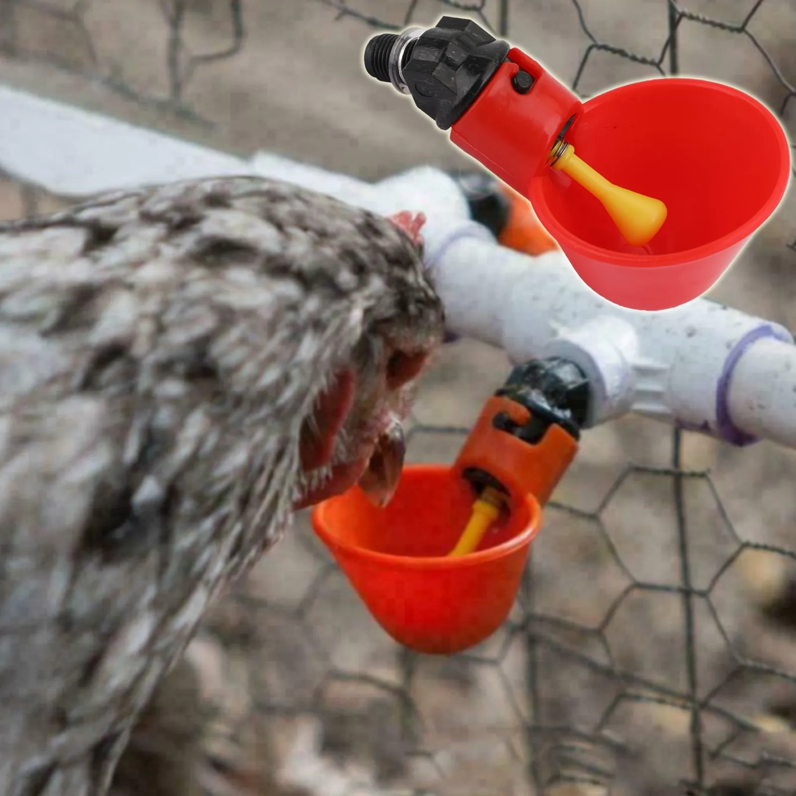 Artudatech 4PCS Water Drinking Cups Chicken Waterer Automatic Poultry Drinkers Feeding Parts