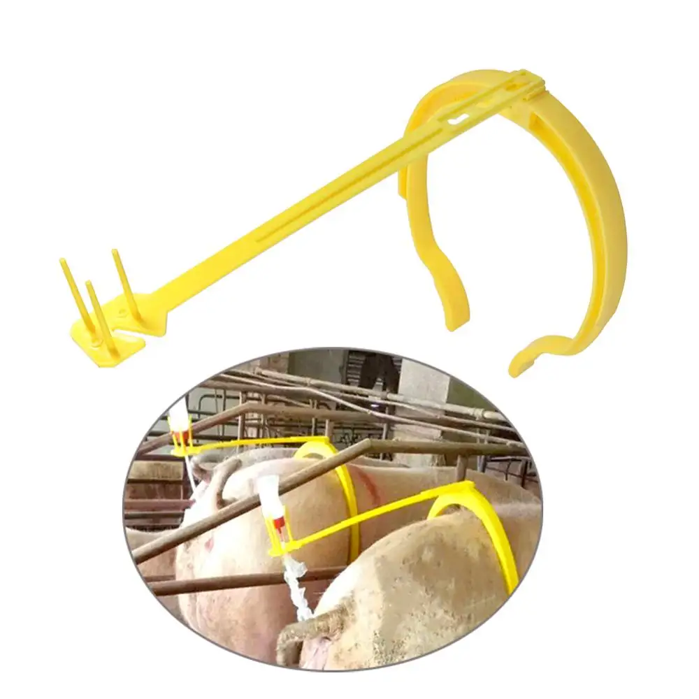 1 Pcs Pig Insemination Clip Holder Sows Insemination Fertilization Artificial With Auxiliary Clamping Ring