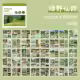 Thumbnail 30