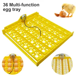 156 Bird Eggs Incubator Turn Tray Chickens Ducks Poultry Automatic Incubator 220V/110V/12V Incubation Equipment