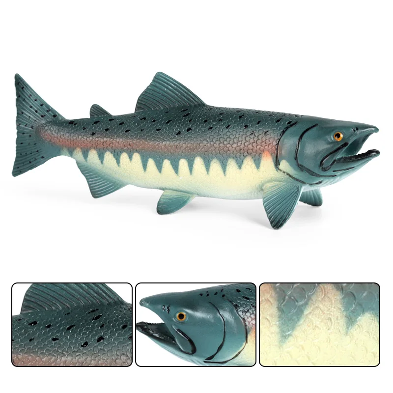 Oenux Meer Leben Tiere Modell Action-figuren Ozean Fisch Segelfisch Bass Zacker Lachs Aquarium Figuren PVC Pädagogisches Kinder Spielzeug – Detail 10