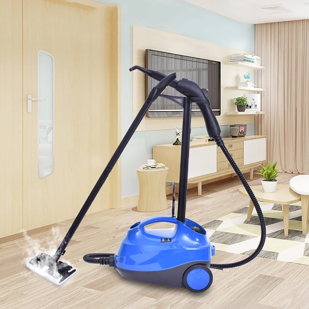 Portable Multi-function Steam Sterilizing Cleaner 2200W 110V 220V Steam Disinfection Sprayers Machine For Home