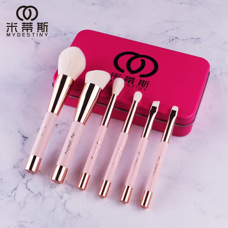 MyDestiny Make Up Brushes-Small magnet Series Cosmetic Brush Travelling set-6Pcs Synthetic Hair Portable Beginner Makeup Brushes