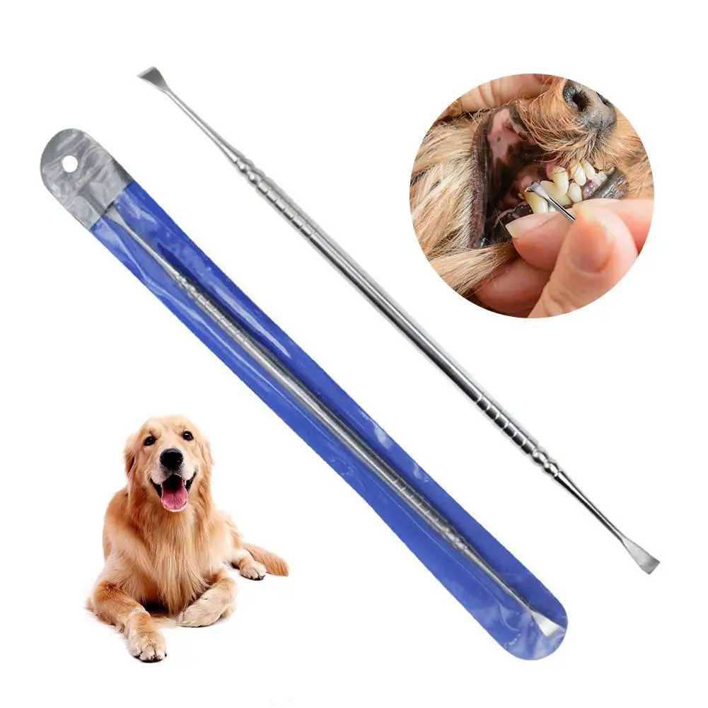 Pet Dog Oral Hygiene Cleaning Tool Stainless Steel Tooth Scaler And Scraper Tartar Calculus Remover For Cat Dog Teeth Clean Tool