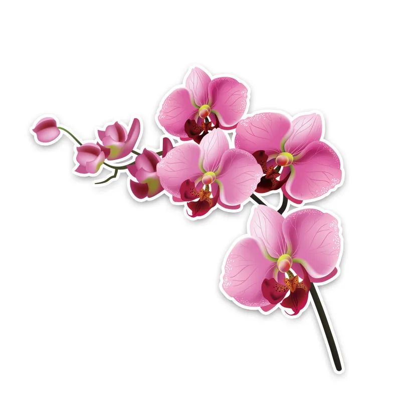 Small Town 12.7*12.6CM Interesting Orchid Decor Car Stickers High Quality Personalized 11A0884