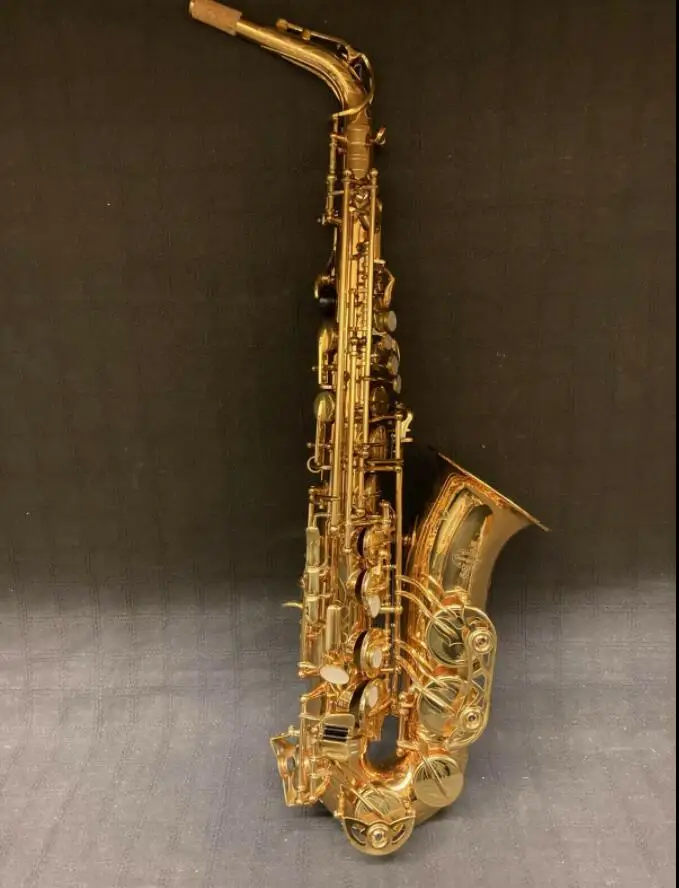 BC2008 Pro Buffet Paris Alto Saxophone Engraving on bell and the keys Comes with Protec case