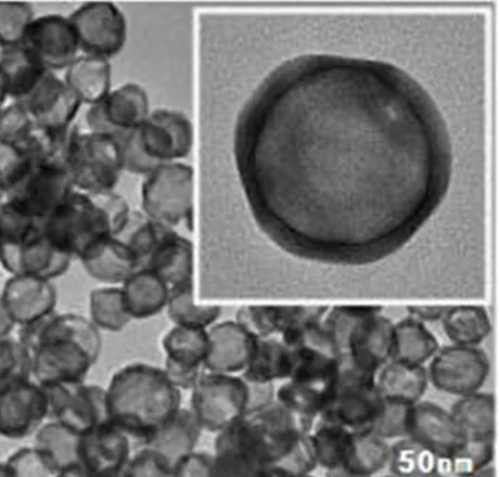 Water-soluble hollow gold nanoshell