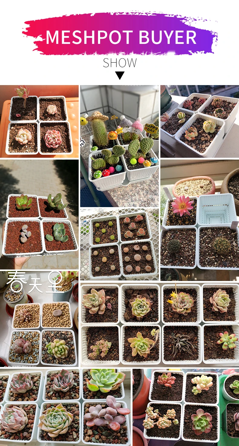 Meshpot 6 cm/7 cm Sukkulenten Topf Kunststoff Blumentopf Kaktus Pflanzer Wurzel Steuerung Gute Luft System Garten liefert Hause Dezember – Detail 14