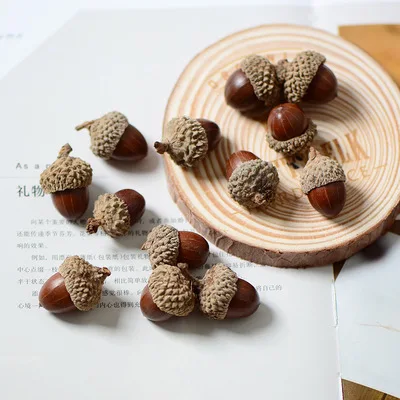 20pcs,Natural dried flowers nuts real acorns,Eternal flower materials for Wedding Party home Decoration accessories,DIY gift box