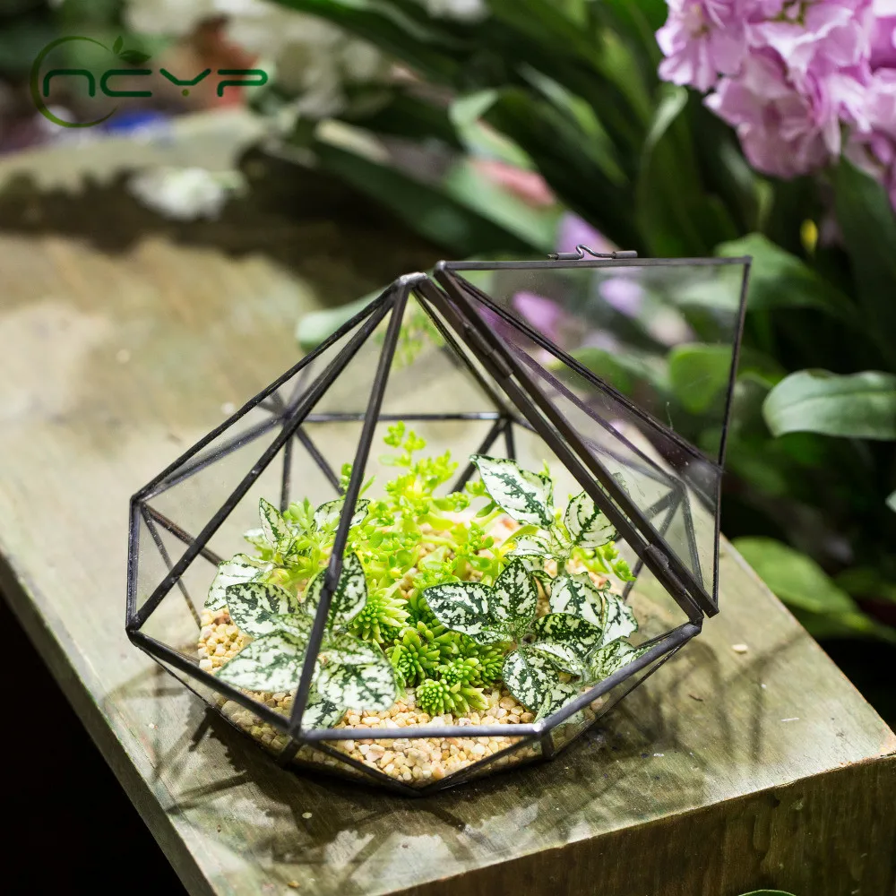 NCYP Glass Flower Pot Garden Tabletop Diamond Glass Terrarium Indoor Balcony Display Planter Decor Geometric Terrarium Flowerpot