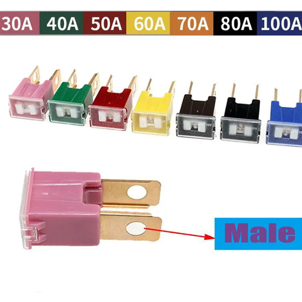 100A 80A 70A 60A 50A 40A 30A PAL Male Slow Blow Car Auto Fuse for Honda