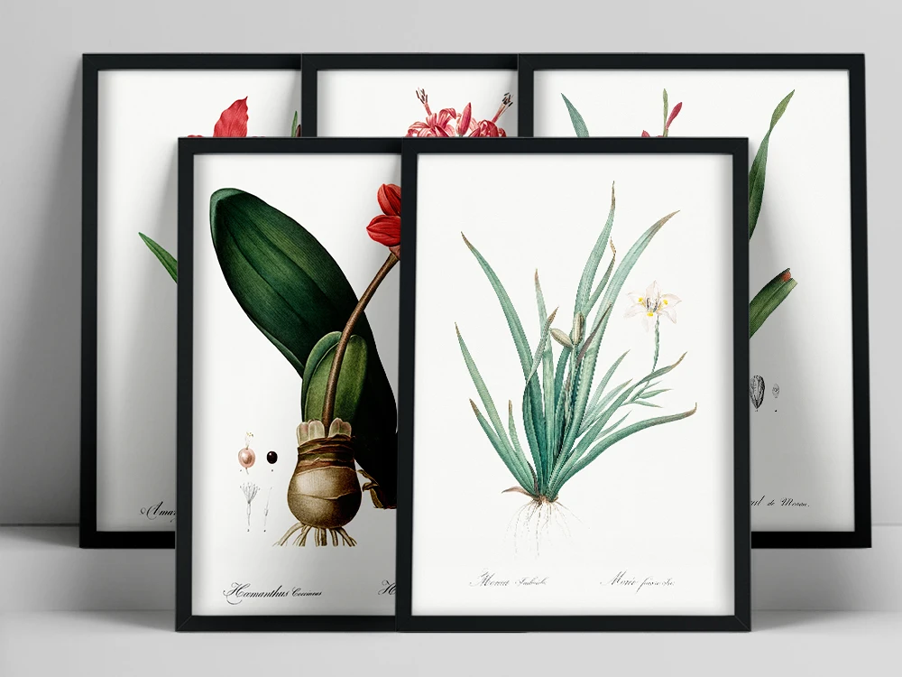 Canvas Paintng Vintage Wild Plant Poster Botanical Flower Study Living Room Hanging Painting Peony Picture Aesthetic Room Decor