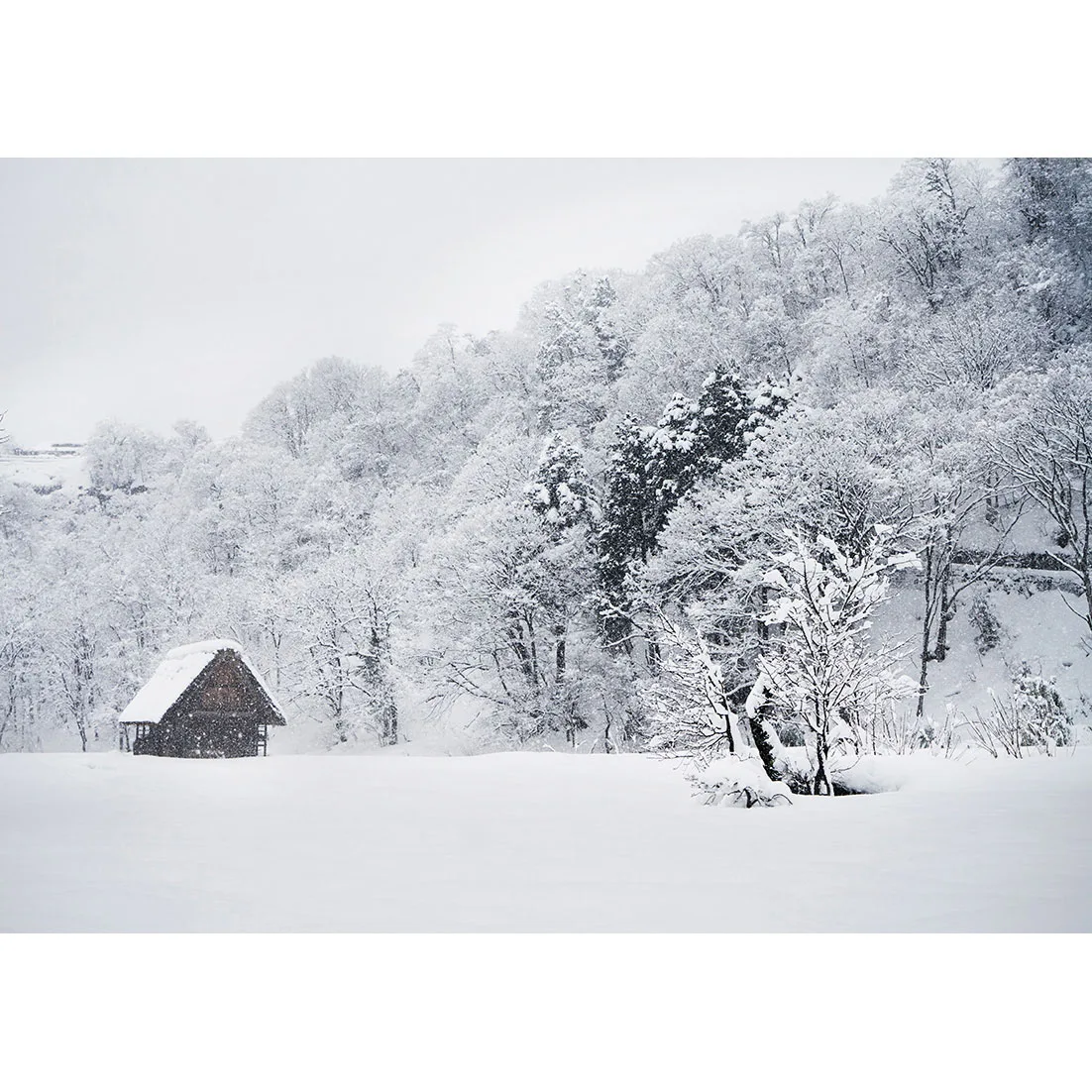 Snow Trees Cabin Winter Photography Backdrop Custom Vinyl Background Photo Studio for Children Baby Portrait Photophone Props