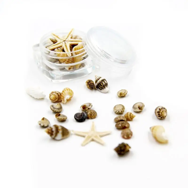 Small Natural Beach Seashell Starfish Nautical Decor Jewelry Glass DIY Fillers Nail Art Resin Fillings Jewelry Making