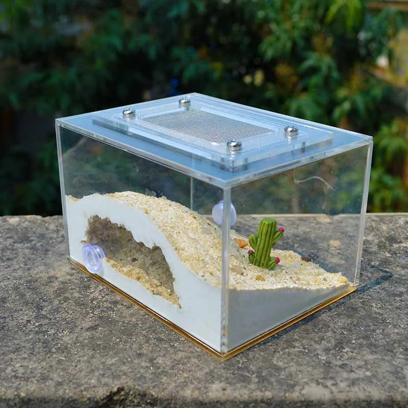 Mini Imitation Ecological Plaster Ant Nest Pet Ant Castle Workshop Home Reptile Terrarium