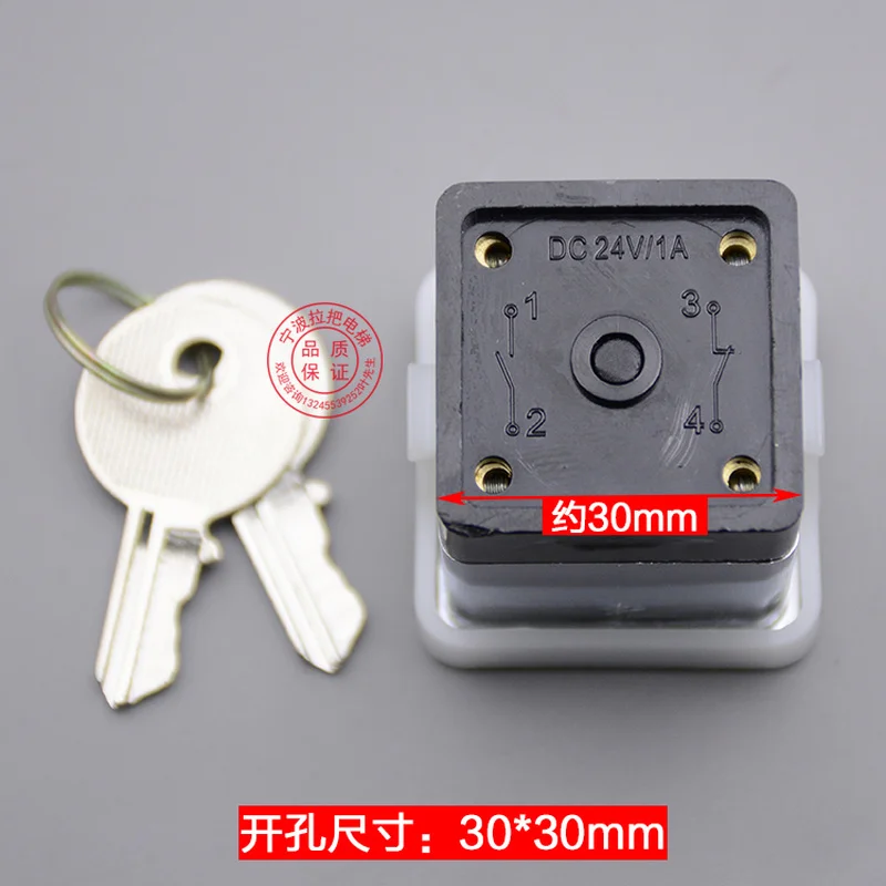 2Pcs Lift Accessoires LSL-1DS Power Lock Vierkante 30*30 Mm