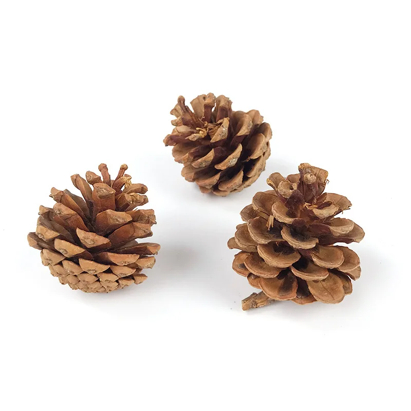 1pc Pet Teeth Grinding Toy Pine Cones Toy For Guniea Pig Rabbit Chinchilla Small Pet Molar Pine Cones Toy High Quality Toy view 4