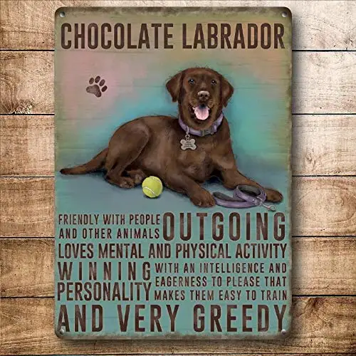 

PAGAIXI Chocolate Labrador Tin Sign 8" x 12" Metal Signs Vintage Funny Wall Decor Personalized Plaques Poster for Indoor Shop