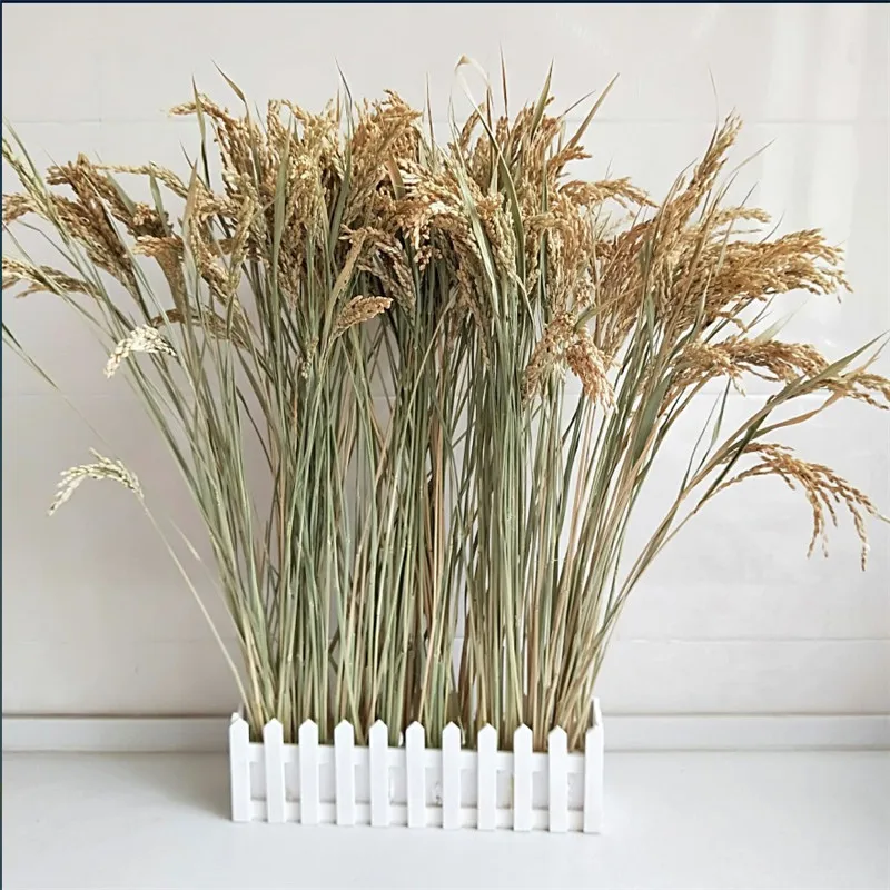 50 stems Dried rice flower bunch wheat rice grain bouquet natural plant wedding decoration Free Shipping