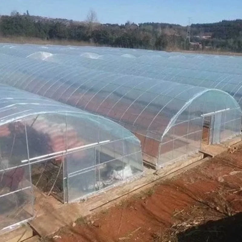 8M*30M-Good Quality And Easily Installed Agricultural/Commercial Green House